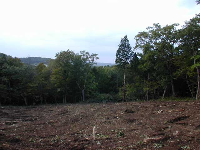 DSCN0925