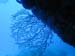 DSCN0428